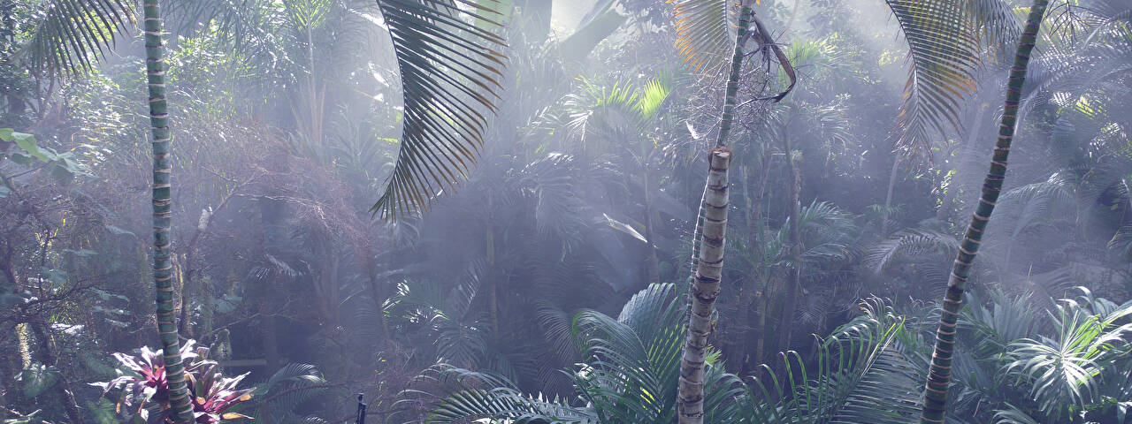 Quote Image Retina Kongress